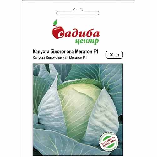 Капуста білокачанна Мегатон F1 Садиба центр артикул фото 1 Капуста білокачанна Мегатон F1 Садиба центр зображення 1 артикул 89289