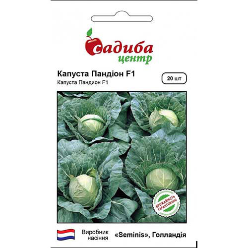 Капуста білокачанна Пандіон F1 Садиба центр зображення 1 артикул 89291