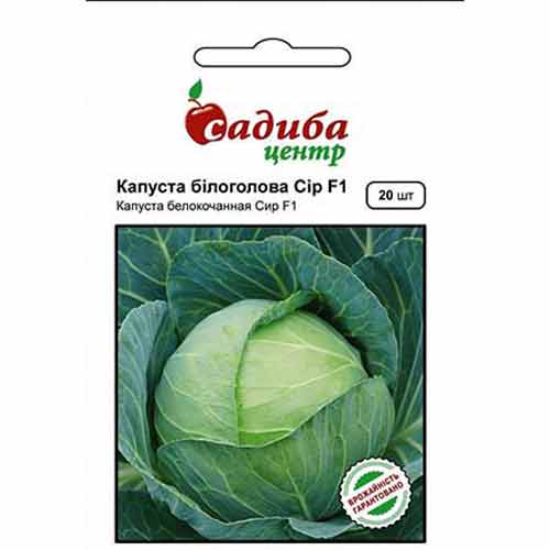 Капуста белокочанная Сир F1 Садыба центр рисунок 1 артикул 89298