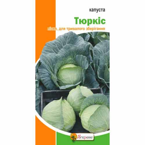 Капуста белокочанная Тюркис Яскрава рисунок 1 артикул 90476