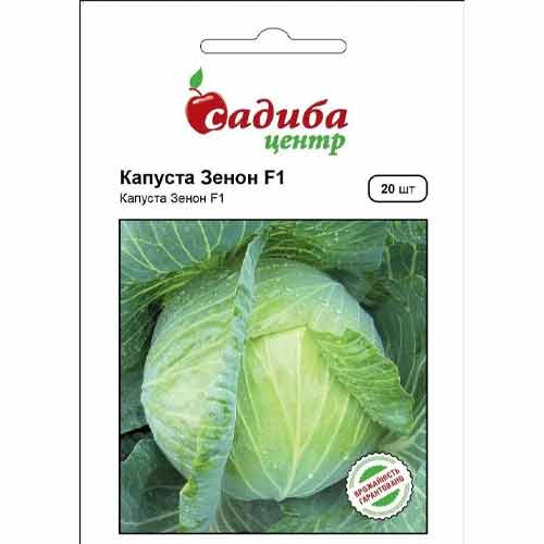 Капуста білокачанна Зенон F1 Садиба центр зображення 1 артикул 89278