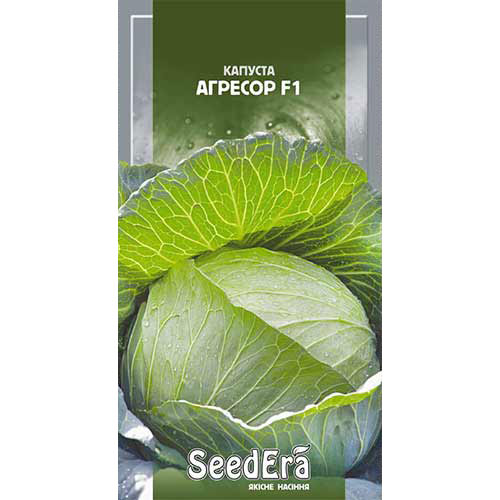 Капуста білокачанна Агресор F1 Seedera зображення 1 артикул 89876