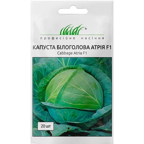 Капуста белокочанная Атрия F1 Профессиональные семена рисунок 1 артикул 95169