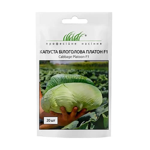 Капуста белокочанная Платон F1 Профессиональные семена рисунок 1 артикул 87589