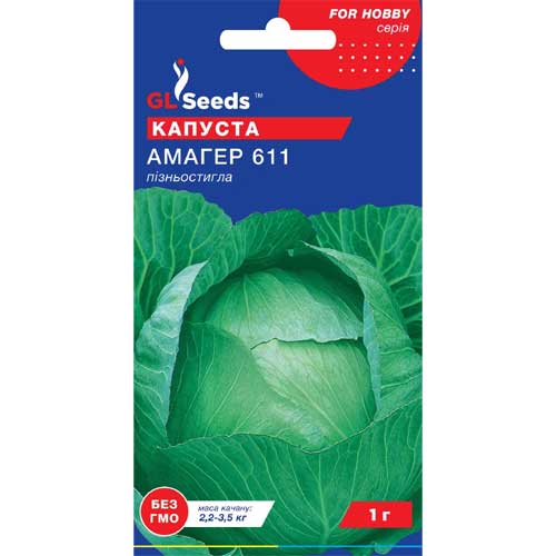 Капуста белокочанная Амагер GL Seeds рисунок 1 артикул 85661