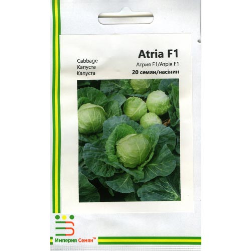 Капуста белокочанная Атрия F1 Империя семян рисунок 1 артикул 95330