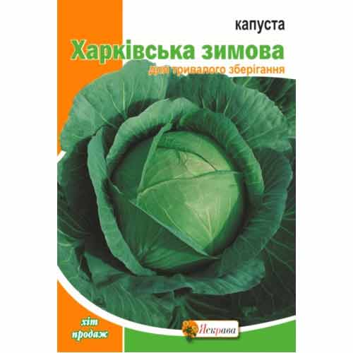 Капуста белокочанная Харьковская зимняя Яскрава артикул фото 1 Капуста белокочанная Харьковская зимняя Яскрава рисунок 1 артикул 99866