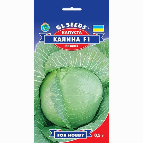 Капуста белокочанная Калина F1 GL Seeds рисунок 1 артикул 99609
