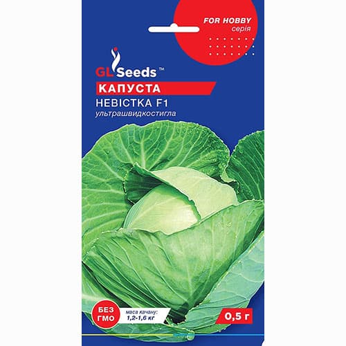 Капуста белокочанная Невестка F1 GL Seeds рисунок 1 артикул 99611
