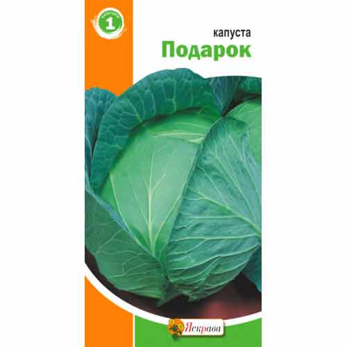 Капуста белокочанная Подарок Яскрава рисунок 1 артикул 99862