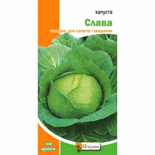 Капуста білокачанна Слава Яскрава зображення 1 артикул 99863