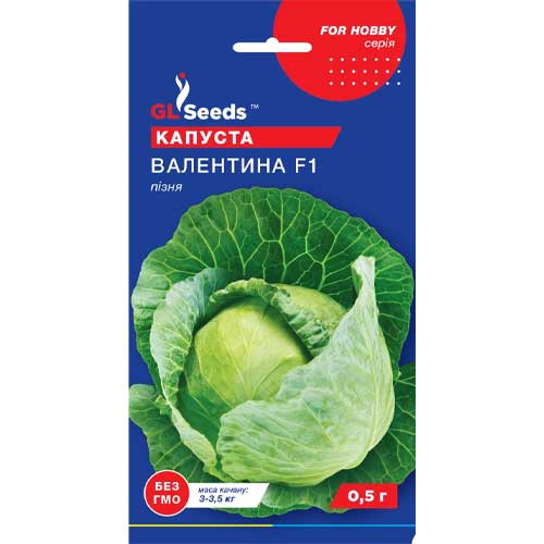 Капуста белокочанная Валентина F1 GL Seeds рисунок 1 артикул 85662