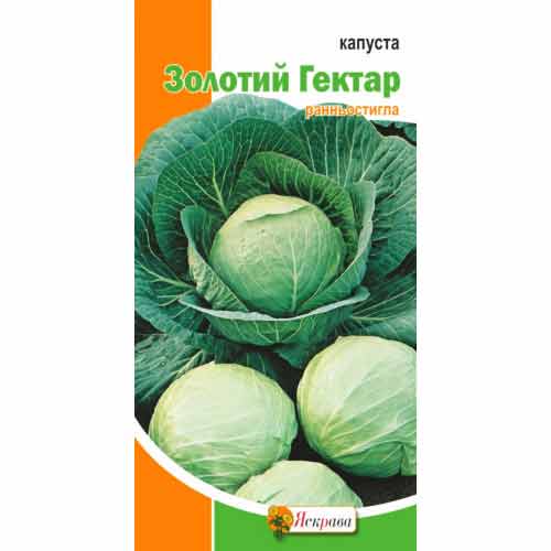 Капуста білокачанна Золотий Гектар Яскрава зображення 1 артикул 99859