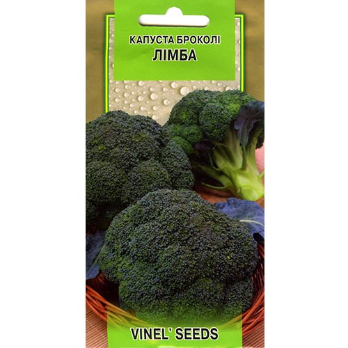 Капуста брокколи Лимба Vinel seeds рисунок 1 артикул 95575