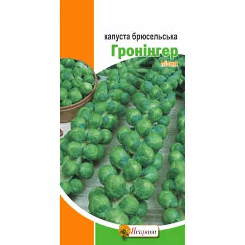 Капуста брюссельская Гронигер Яскрава артикул фото 1 Капуста брюссельская Гронигер Яскрава рисунок 1 артикул 99868
