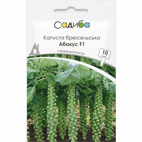 Капуста брюссельська Абакус F1 Садиба центр зображення 1 артикул 89306