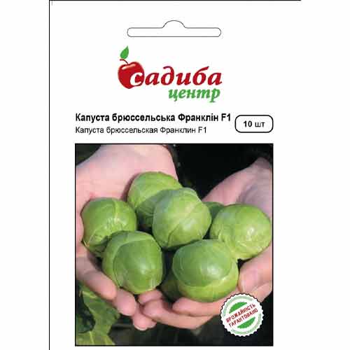 Капуста брюссельська Франклін F1 Садиба центр зображення 1 артикул 89307