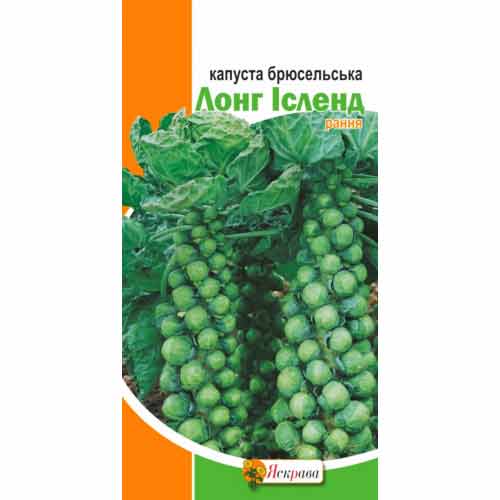 Капуста брюссельская Лонг Исленд Яскрава рисунок 1 артикул 72235