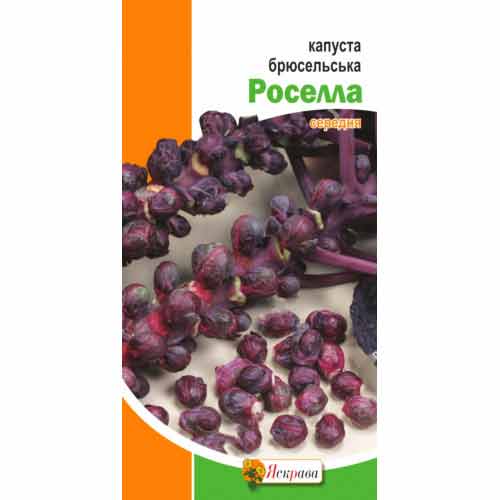 Капуста брюссельська Розелла Яскрава зображення 1 артикул 72236