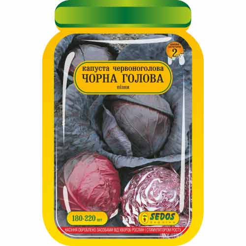 Капуста краснокочанная Черная Голова Яскрава рисунок 1 артикул 99876