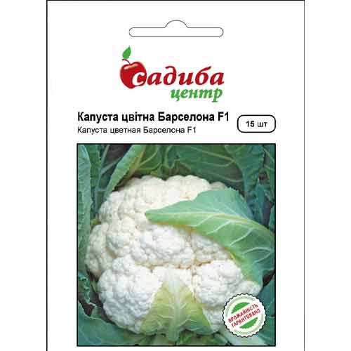 Капуста цветная Барселона F1 Садыба центр рисунок 1 артикул 89317