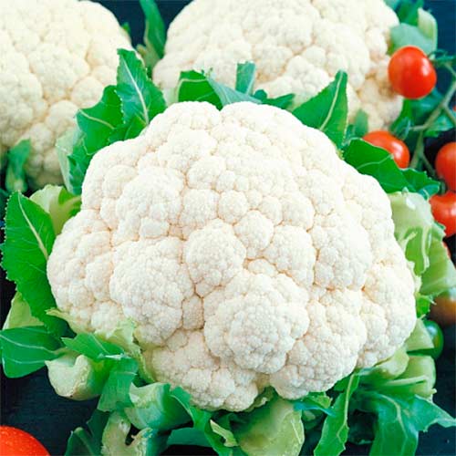 Капуста цветная Белая королева, семена рисунок 1 артикул 70141