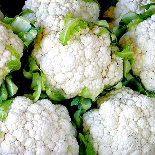 Капуста цвітна Майорка F1, насіння зображення 2 артикул 65478