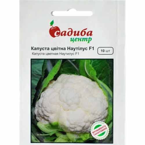 Капуста цвітна Наутілус F1 Садиба центр зображення 1 артикул 89320