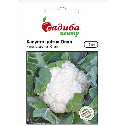 Капуста цвітна Опал Садиба центр зображення 1 артикул 89321