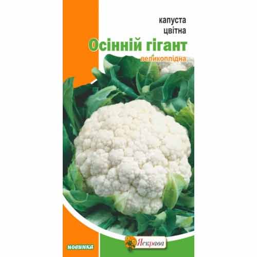 Капуста цветная Осенний гигант Яскрава рисунок 1 артикул 72248