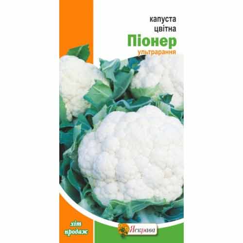 Капуста цветная Пионер Яскрава рисунок 1 артикул 72246