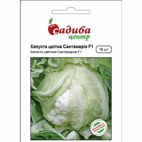Капуста цветная Сантамария F1 Садыба центр рисунок 1 артикул 89323