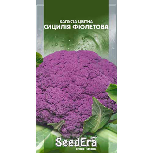Капуста цветная Сицилия Seedera рисунок 1 артикул 77211