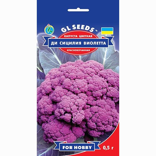 Капуста цветная Ди Сицилия Виолета GL Seeds рисунок 1 артикул 99615