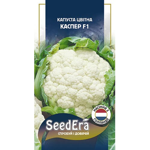 Капуста цветная Каспер F1 Seedera рисунок 1 артикул 95068