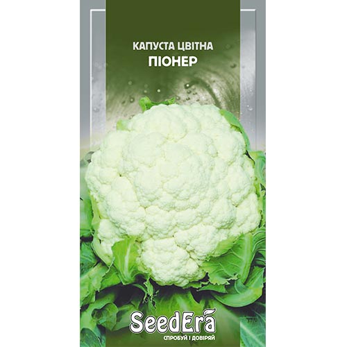 Капуста цветная Пионер Seedera рисунок 1 артикул 95013