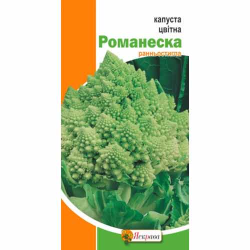 Капуста цветная Романеска Яскрава рисунок 1 артикул 99874