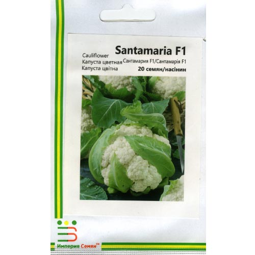 Капуста цвітна Сантамарія F1 Імперія насіння зображення 1 артикул 95344