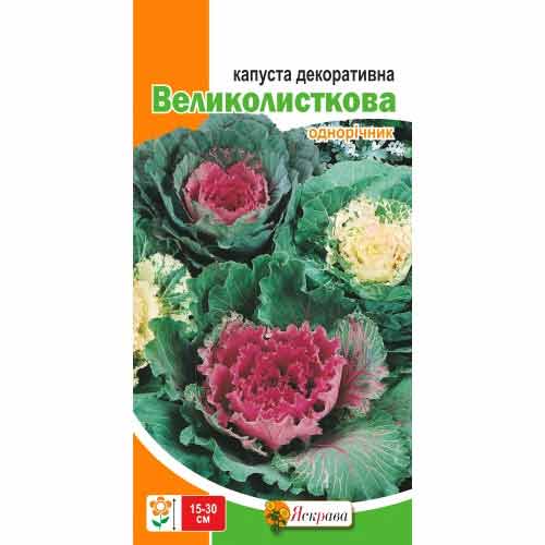 Капуста декоративна великолисткова Яскрава зображення 1 артикул 72238