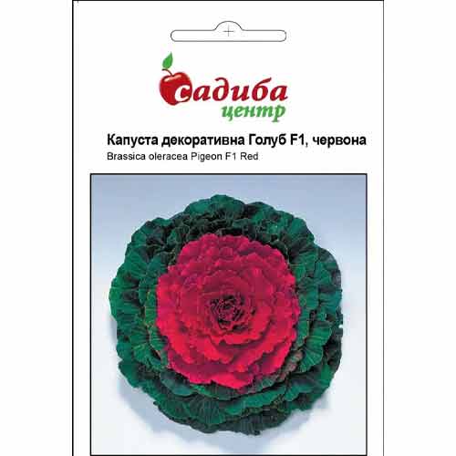 Капуста декоративна Голуб червона F1 Садиба центр зображення 1 артикул 77015