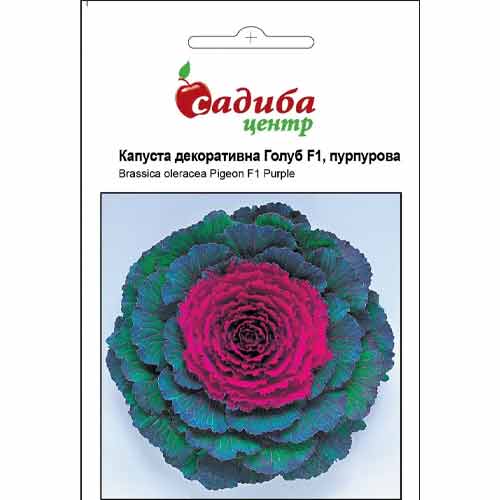 Капуста декоративна Голуб пурпурова F1 Садиба центр зображення 1 артикул 77014