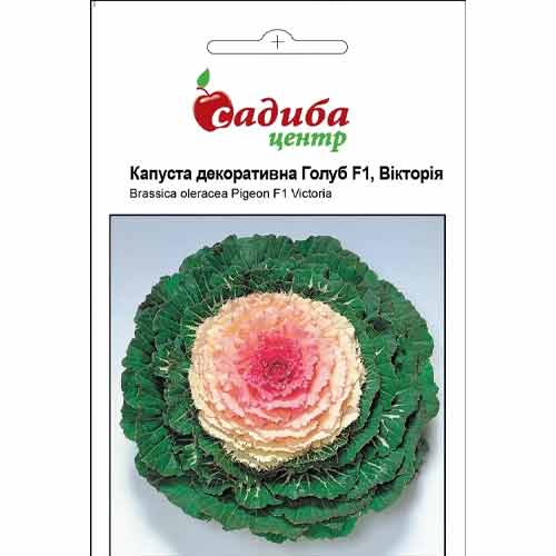 Капуста декоративна Голуб Вікторія F1 Садиба центр зображення 1 артикул 77013