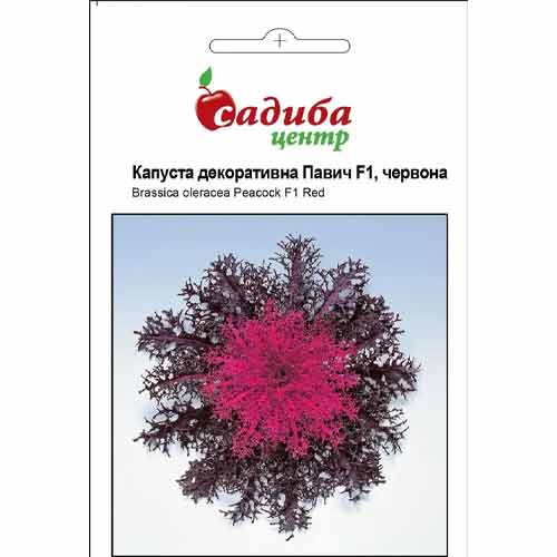 Капуста декоративна Павич червона F1 Садиба центр зображення 1 артикул 89309