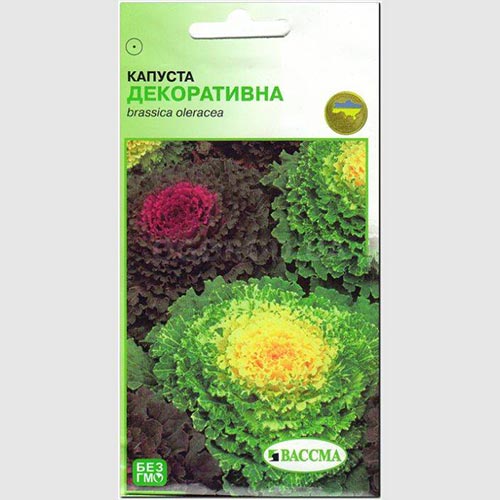 Капуста декоративная, смесь окрасок Seedera рисунок 1 артикул 66273