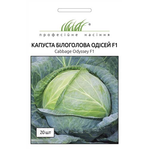 Капуста білокачанна Одісей F1 зображення 1 артикул 65460
