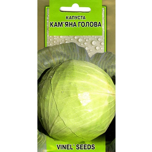 Капуста белокочанная Каменная голова Vinel seeds рисунок 1 артикул 95573
