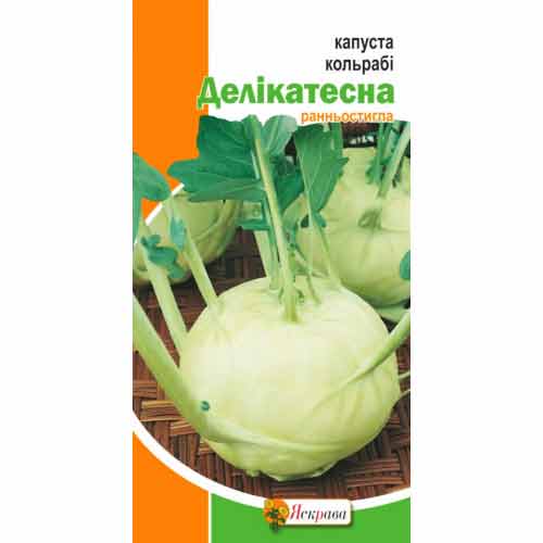 Капуста кольраби Деликатесная Яскрава артикул фото 1 Капуста кольраби Деликатесная Яскрава рисунок 1 артикул 99870