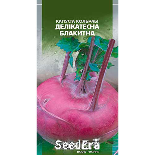 Капуста кольрабі Делікатесна блакитна Seedera артикул фото 1 Капуста кольрабі Делікатесна блакитна Seedera зображення 1 артикул 77207