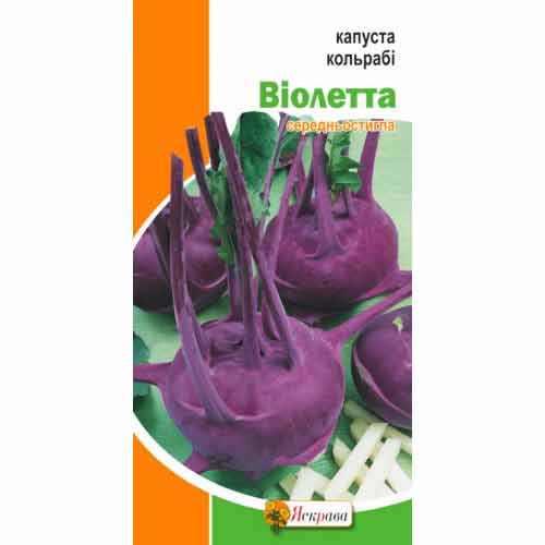 Капуста кольрабі Віолета Яскрава зображення 1 артикул 72239
