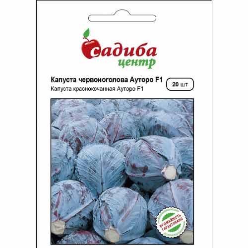 Капуста краснокочанная Ауторо F1 Садиба центр рисунок 1 артикул 89327